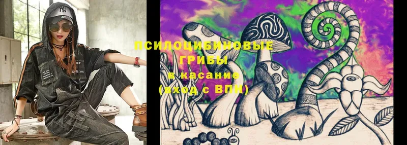 Псилоцибиновые грибы Psilocybe  сколько стоит  Воскресенск 